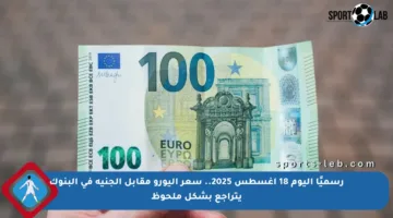 رسميًا اليوم 18 أغسطس 2025.. سعر اليورو مقابل الجنيه في البنوك يتراجع بشكل ملحوظ